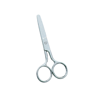 Fancy Scissors 0217