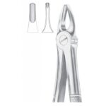 EXTRACTING FORCEPS ENGLISH PATTERN 1005