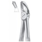 EXTRACTING FORCEPS ENGLISH PATTERN 1013