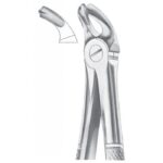 EXTRACTING FORCEPS ENGLISH PATTERN 1017