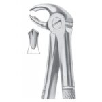 EXTRACTING FORCEPS ENGLISH PATTERN 1020