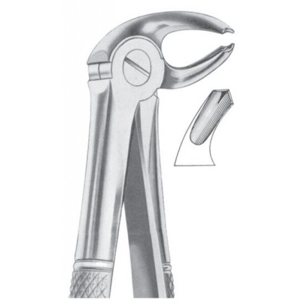 EXTRACTING FORCEPS ENGLISH PATTERN 1021