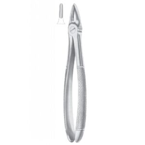 EXTRACTING FORCEPS ENGLISH PATTERN 1023