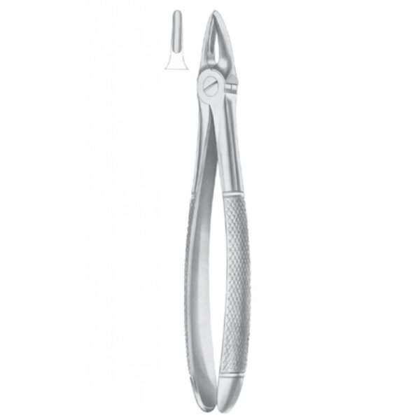 EXTRACTING FORCEPS ENGLISH PATTERN 1023