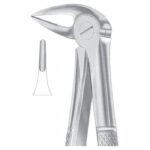 EXTRACTING FORCEPS ENGLISH PATTERN 1032