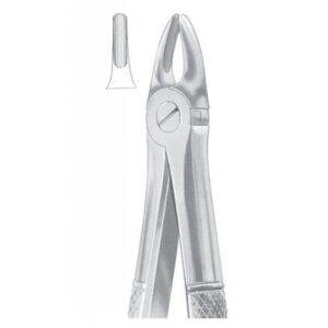 EXTRACTING FORCEPS ENGLISH PATTERN 1033