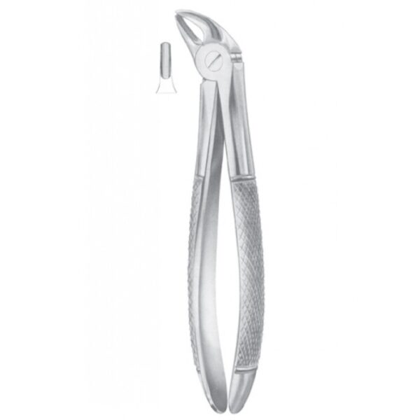 EXTRACTING FORCEPS ENGLISH PATTERN 1035