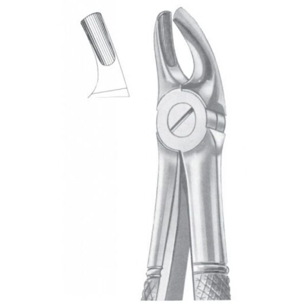 EXTRACTING FORCEPS ENGLISH PATTERN 1036