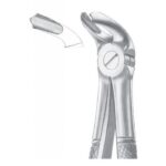 EXTRACTING FORCEPS ENGLISH PATTERN 1039