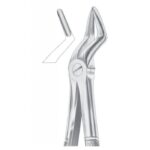 EXTRACTING FORCEPS ENGLISH PATTERN 1050