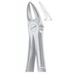 EXTRACTING FORCEPS ENGLISH PATTERN 1054