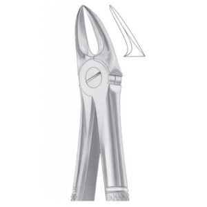 EXTRACTING FORCEPS ENGLISH PATTERN 1054