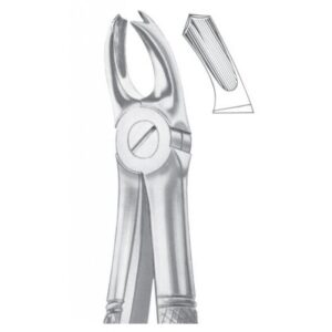 EXTRACTING FORCEPS ENGLISH PATTERN 1056