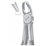 EXTRACTING FORCEPS ENGLISH PATTERN 1057