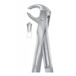 EXTRACTING FORCEPS ENGLISH PATTERN 1069