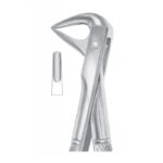 EXTRACTING FORCEPS ENGLISH PATTERN 1070