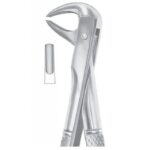 EXTRACTING FORCEPS ENGLISH PATTERN 1076