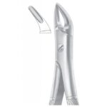 EXTRACTING FORCEPS ENGLISH PATTERN 1077