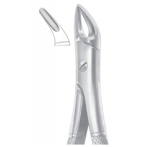 EXTRACTING FORCEPS ENGLISH PATTERN 1077