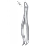 EXTRACTING FORCEPS ENGLISH PATTERN 1078