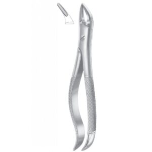 EXTRACTING FORCEPS ENGLISH PATTERN 1078