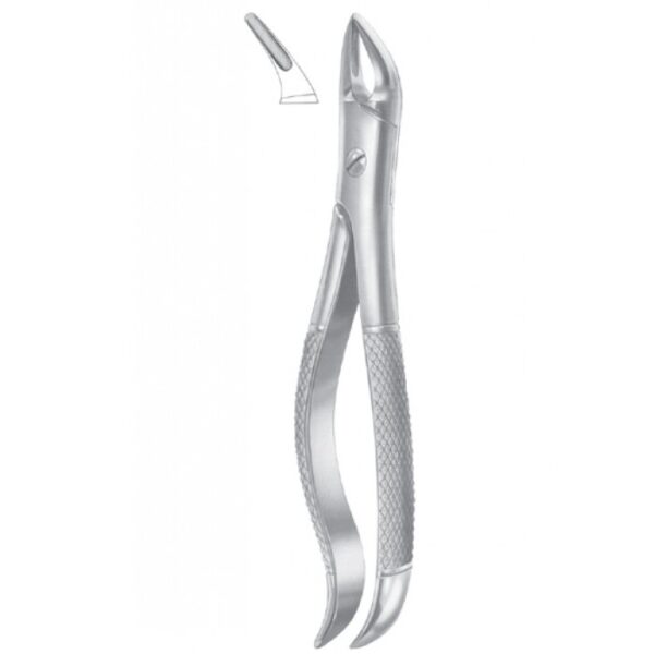 EXTRACTING FORCEPS ENGLISH PATTERN 1078