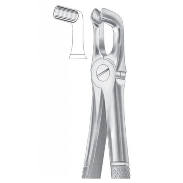 EXTRACTING FORCEPS ENGLISH PATTERN 1081