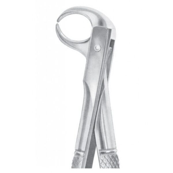 EXTRACTING FORCEPS ENGLISH PATTERN 1085
