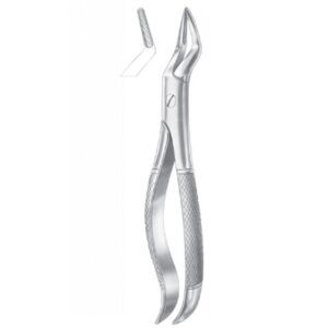 EXTRACTING FORCEPS ENGLISH PATTERN 1089
