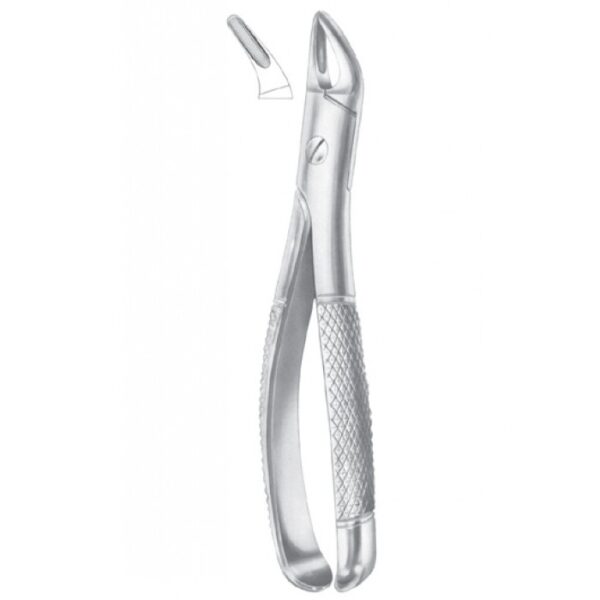 EXTRACTING FORCEPS ENGLISH PATTERN 1090