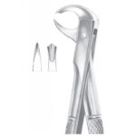 EXTRACTING FORCEPS ENGLISH PATTERN 1091