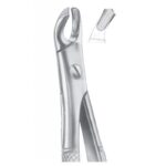 EXTRACTING FORCEPS ENGLISH PATTERN 1093