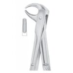 EXTRACTING FORCEPS ENGLISH PATTERN 1096