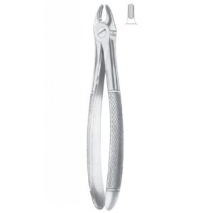 EXTRACTING FORCEPS ENGLISH PATTERN 1097