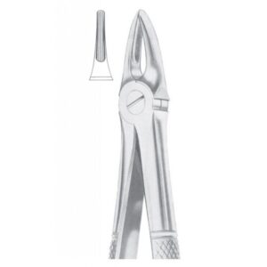 EXTRACTING FORCEPS ENGLISH PATTERN 1099