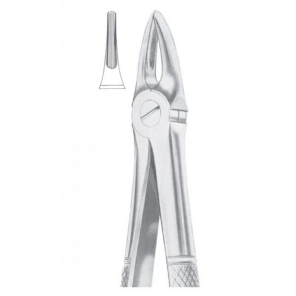 EXTRACTING FORCEPS ENGLISH PATTERN 1099