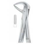 EXTRACTING FORCEPS ENGLISH PATTERN 1100