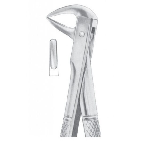 EXTRACTING FORCEPS ENGLISH PATTERN 1102