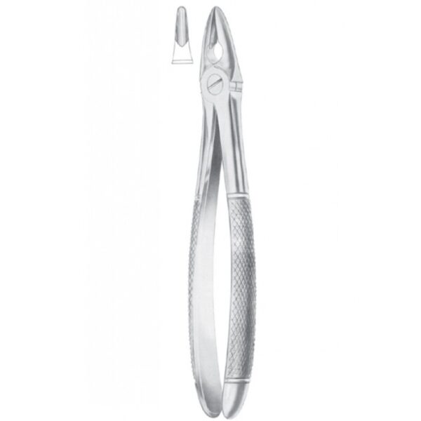 EXTRACTING FORCEPS ENGLISH PATTERN 1104