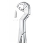 EXTRACTING FORCEPS ENGLISH PATTERN 1112