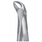 EXTRACTING FORCEPS ENGLISH PATTERN 1116