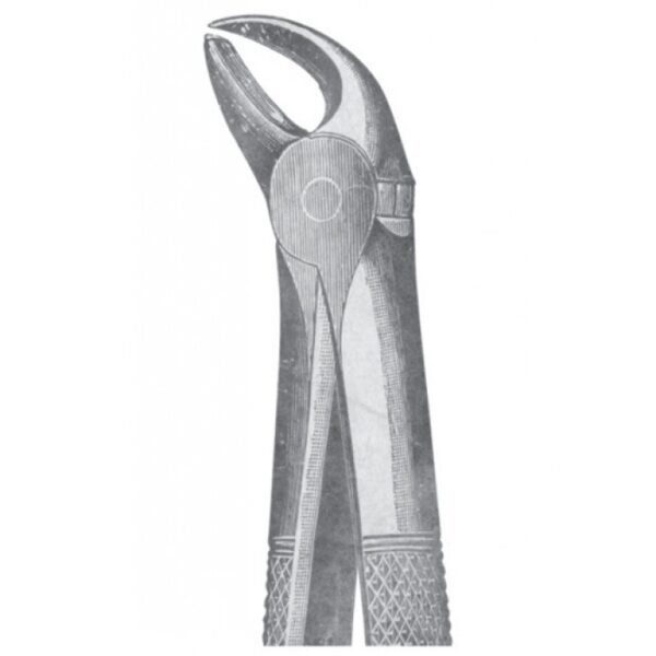 EXTRACTING FORCEPS ENGLISH PATTERN 1116