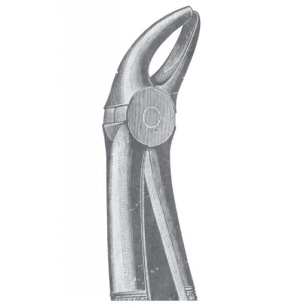 EXTRACTING FORCEPS ENGLISH PATTERN 1117