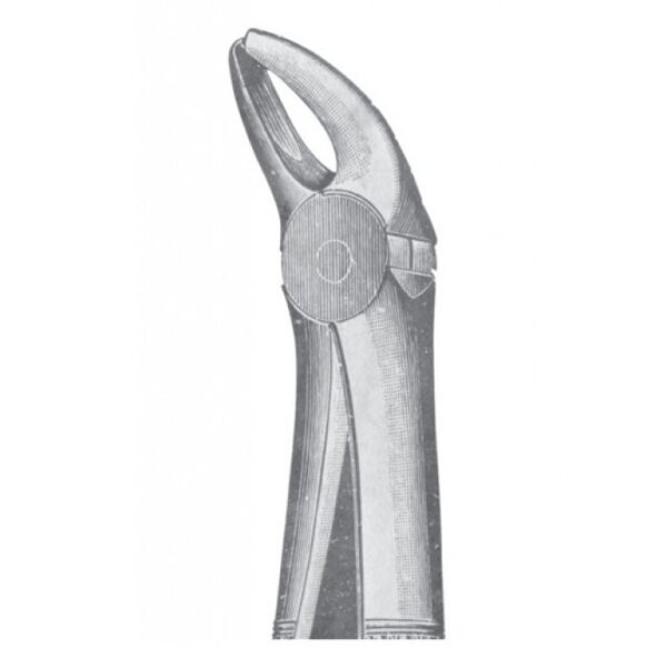 EXTRACTING FORCEPS ENGLISH PATTERN 1118