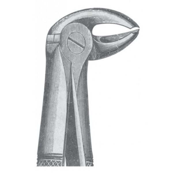 EXTRACTING FORCEPS ENGLISH PATTERN 1121