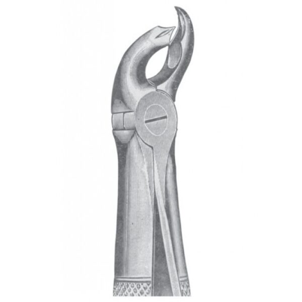 EXTRACTING FORCEPS ENGLISH PATTERN 1123