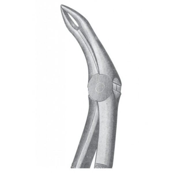 EXTRACTING FORCEPS ENGLISH PATTERN 1130
