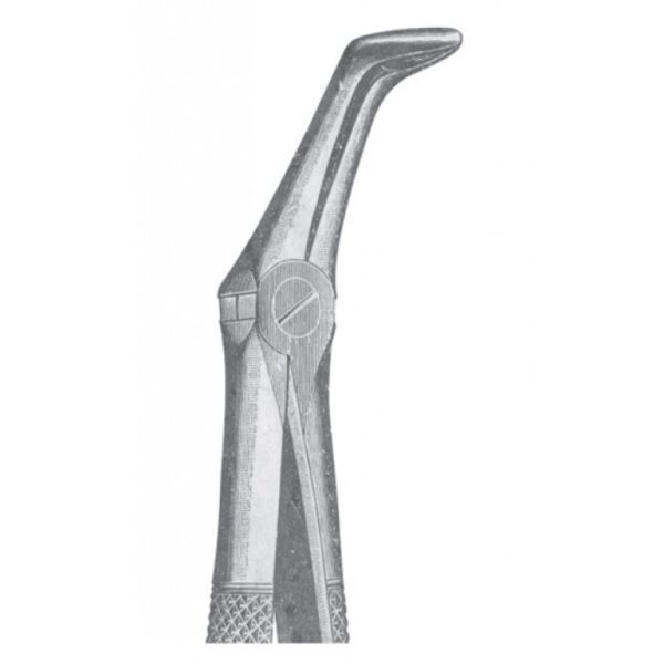 EXTRACTING FORCEPS ENGLISH PATTERN 1132