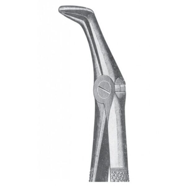 EXTRACTING FORCEPS ENGLISH PATTERN 1133