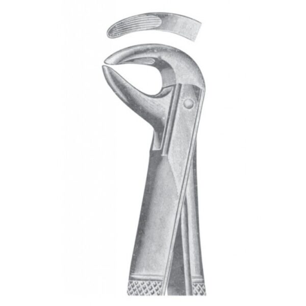 EXTRACTING FORCEPS ENGLISH PATTERN 1136